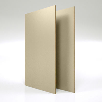 Style de conception moderne Résistance à l'oxydation forte Haute dureté Plaque de peau mate pour intérieur