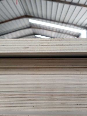 Panneau en bois de placage intérieur avec panneau écologique standard E1 et sans peinture