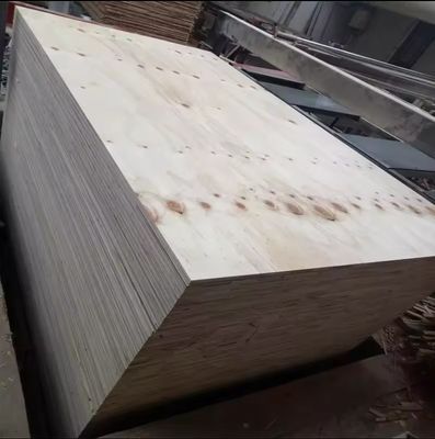 Fabrication de toute sorte de contreplaqué en bois d'okoume de première classe avec un design moderne
