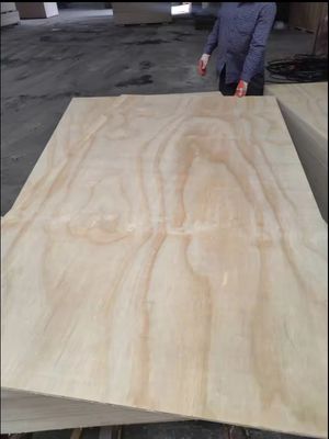 Fabrication de toute sorte de contreplaqué en bois d'okoume de première classe avec un design moderne