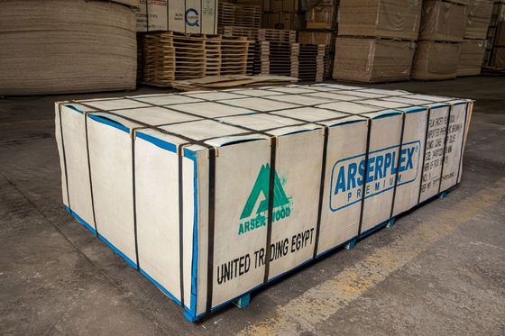 Le contreplaqué laminé en plastique de première classe avec des normes de production élevées et compétitif