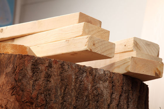Des planches en bois massif de pin de style de design moderne pour atelier à un prix abordable