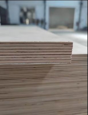 Plywood laminé en mélamine 3mm-21mm pour la décoration d'hôtel