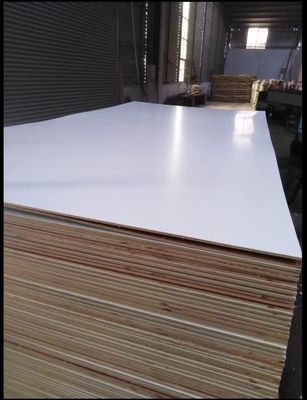 Plâtre contreplaqué de bois de bouleau baltique à noyau complet E0 6 mm 18 mm 25 mm pour meubles à panneaux non métalliques